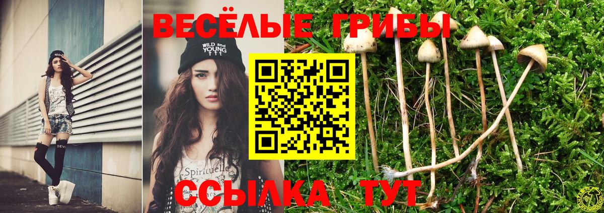 Галлюциногенные грибы мицелий Янаул