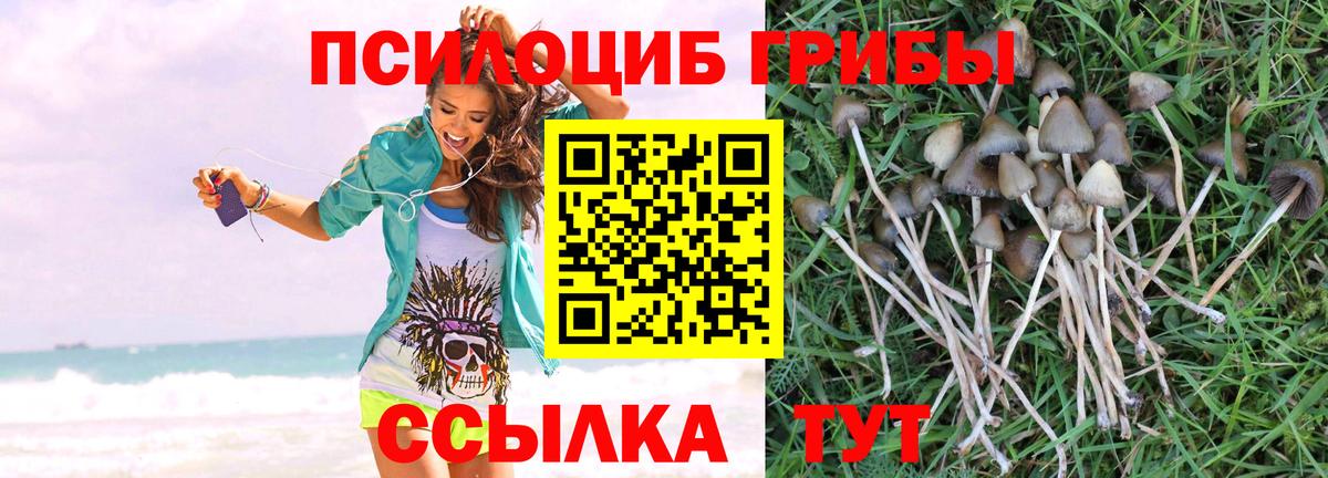 Псилоцибиновые грибы Cubensis  Вход с VPN  Янаул 